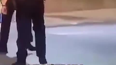 Huge Lady Slaps Cop — Gets Knocked Out