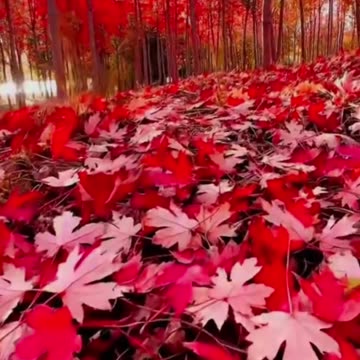 अब आत्मा मर गई लोग भटकते हैं ।