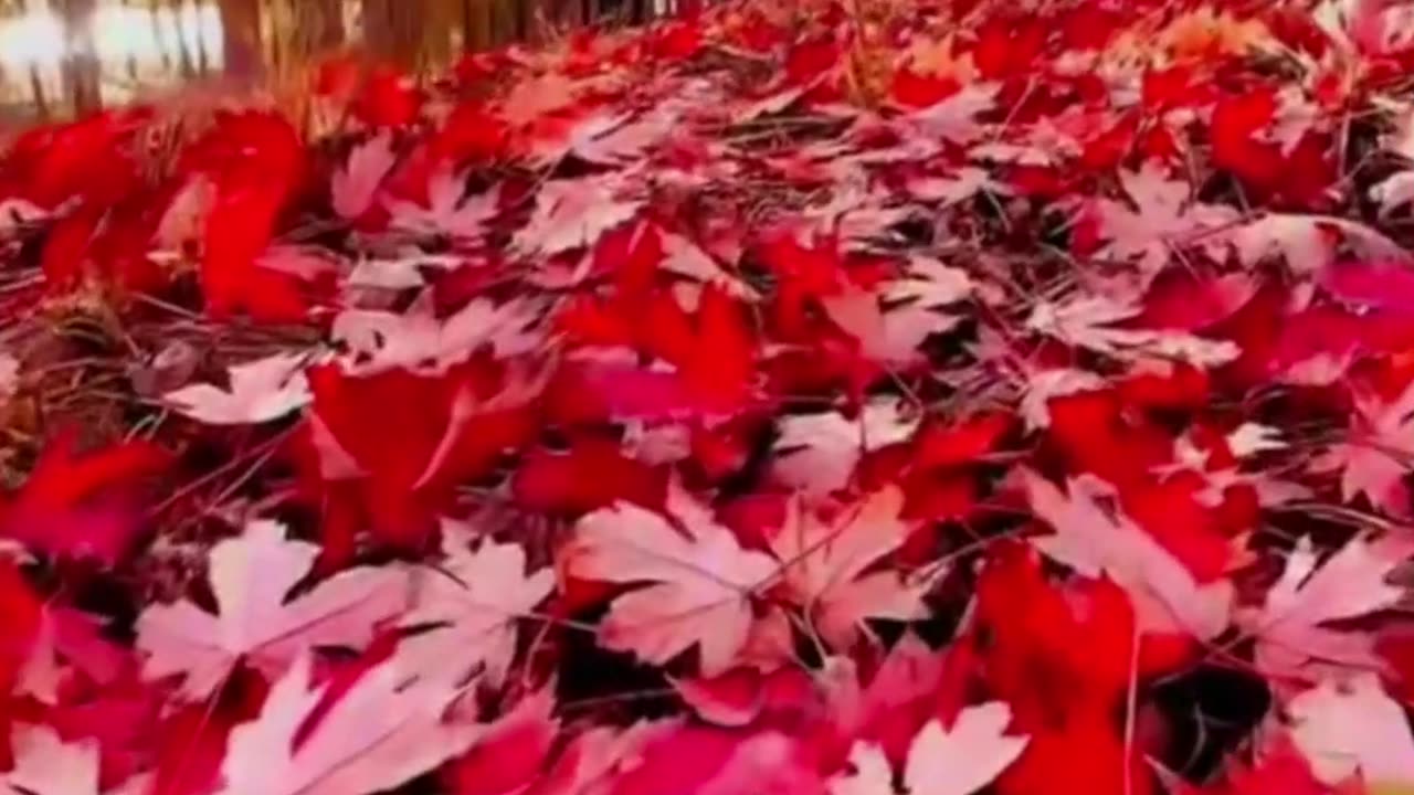 अब आत्मा मर गई लोग भटकते हैं ।