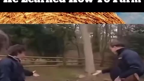 Proper Gardening Technique