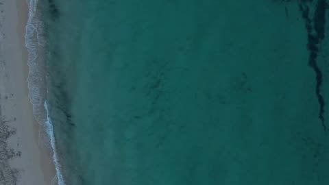 Daily Horoscope | Cancer 🌟