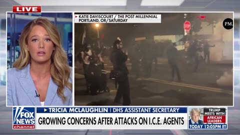 DHS Assistant Secretary: Democrats, Media Are Normalizing Violence