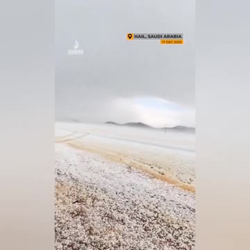 ❄️🐫Camels are in shock after the snowfall in Saudi Arabia