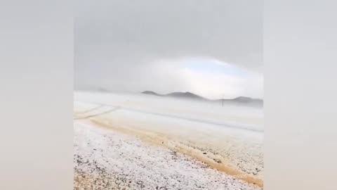 ❄️🐫Camels are in shock after the snowfall in Saudi Arabia