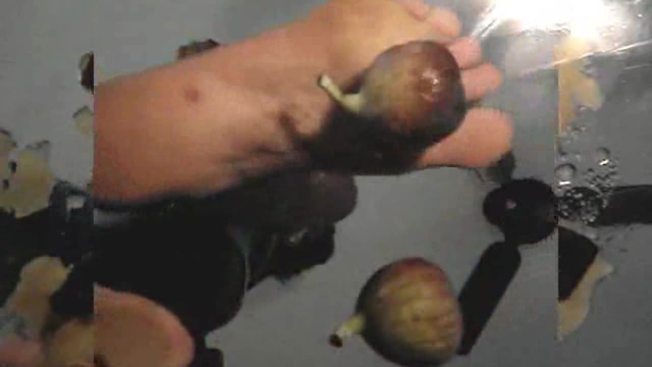 Paula Crushing Fruit on Glass