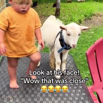 👶🏼 Kids and Baby Goat 🐐 Lovely Moments 😍 Pets Fever Follow ⤵️