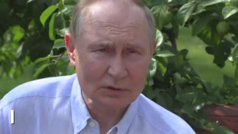 Putin sobre la NABU y SAP: Las autoridades ucranianas se deshonraron de sí mismas