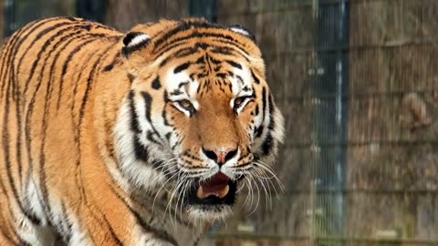 "If it's important to you, you will find a way."