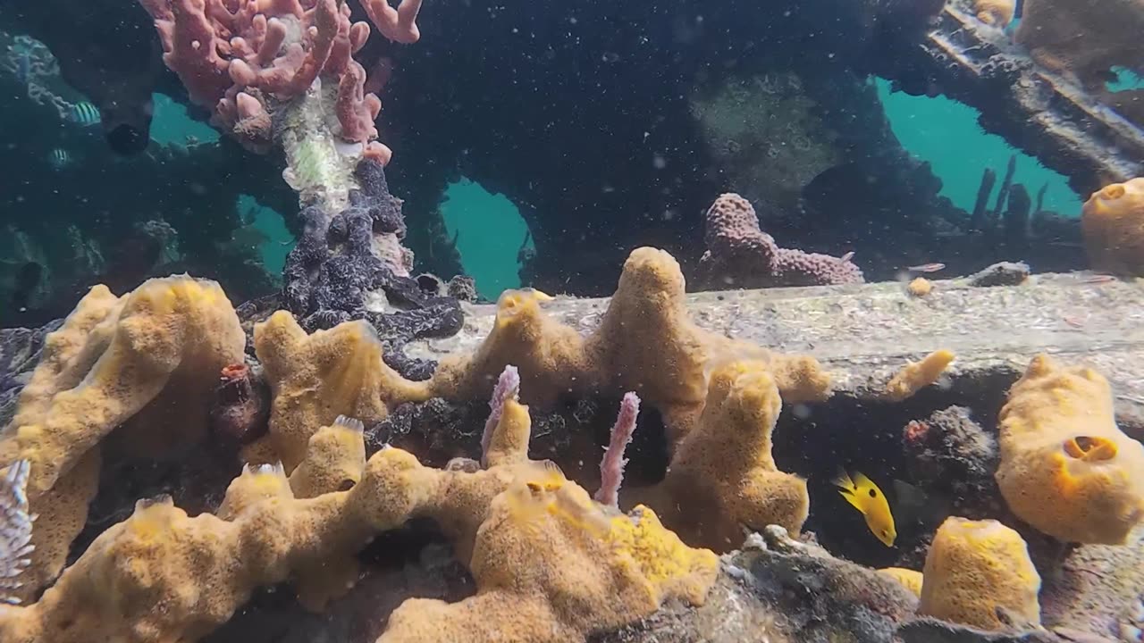 Sunken Air Panama Airplane