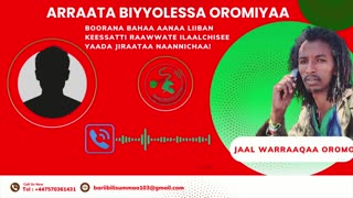 ONM-ABO Fulbaana 22-2025 itti dhiyaadhaa!
