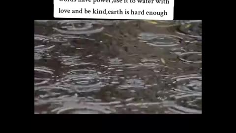 Authentic Relationships