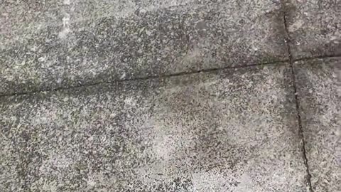 😂🤣 You Won't Believe What Happens When This Person Knows Their Rights! | FunFM