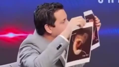 😂🐬 You Won't Believe This Mix-Up! | FunFM