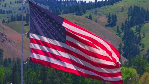 Linda Lanier Flag Fold