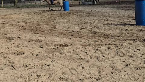 Kyla and Gemma doing barrel drills!