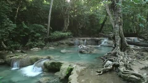 Waterfall stock videos Waterfall river Mountain video