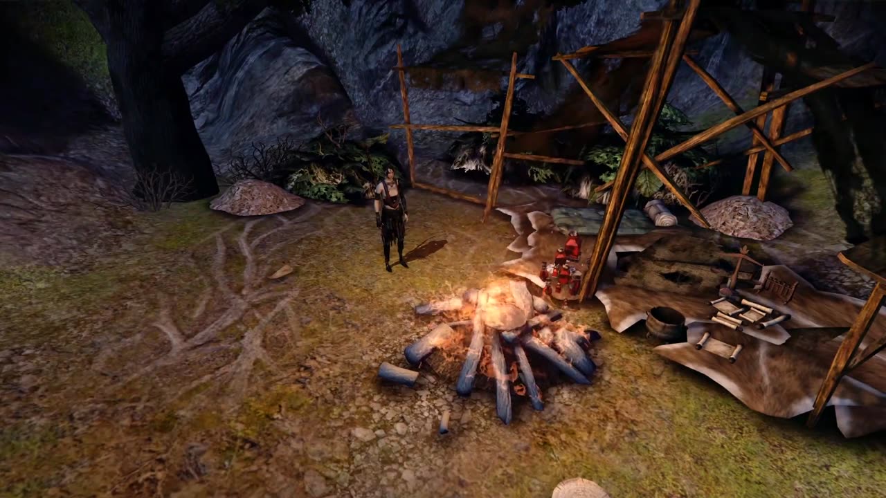 Dragon Age Party Camp