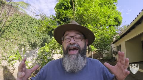 Moving with Pets from Costa Rica 🇨🇷 to Nicaragua 🇳🇮