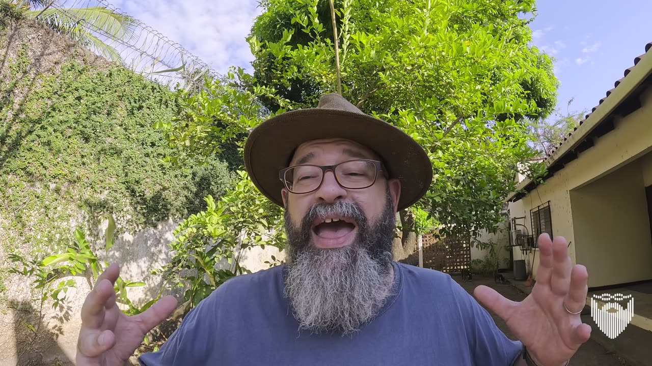 Moving with Pets from Costa Rica 🇨🇷 to Nicaragua 🇳🇮