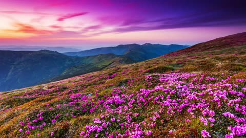 Pluto ♏️ Planet Frequencies Connection 💫