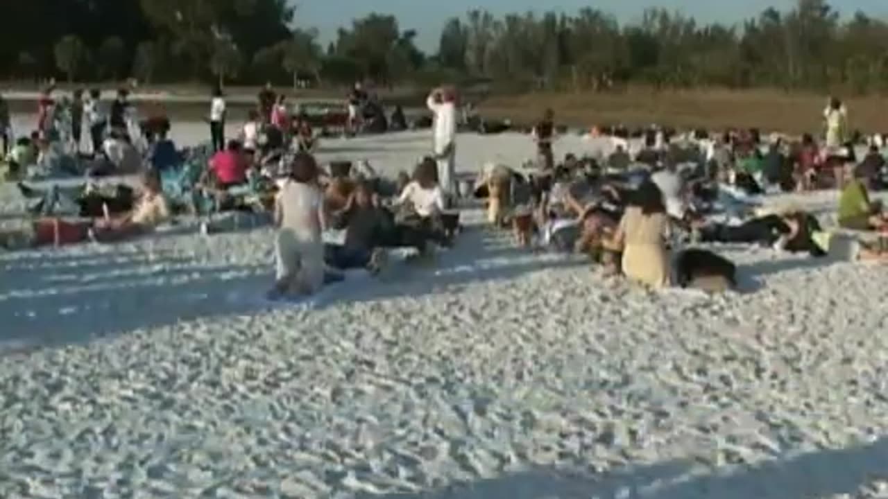 Makers of the wings and other things Part 4 of 8