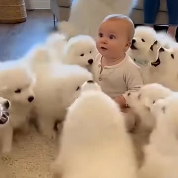 Baby Playing With Dog's 🐕👶🏻😂😂