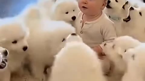 Baby Playing With Dog's 🐕👶🏻😂😂