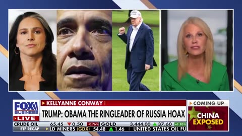 ‘SERIAL LIAR’: Hunter Biden is filled with ‘anger, bitterness, rage,’ says Kellyanne Conway