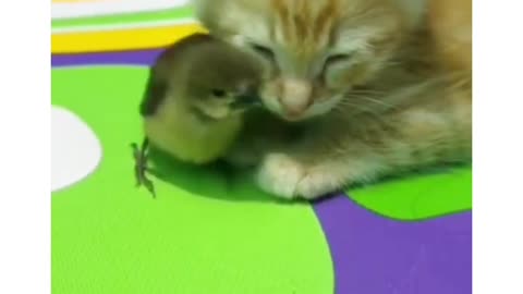 Lovely friends