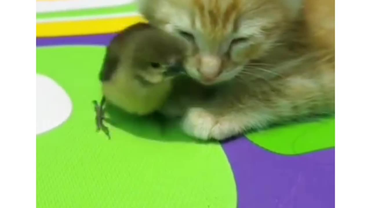 Lovely friends