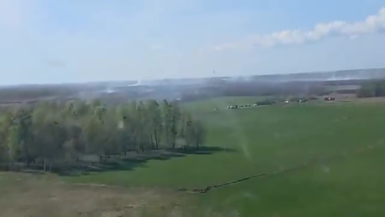 Aktualny widok na "pole bitwy" w Biebrzańskim Parku Narodowym.