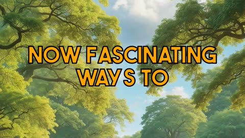 The Comprehensive Guide to Understanding Your Mental State and Wellness