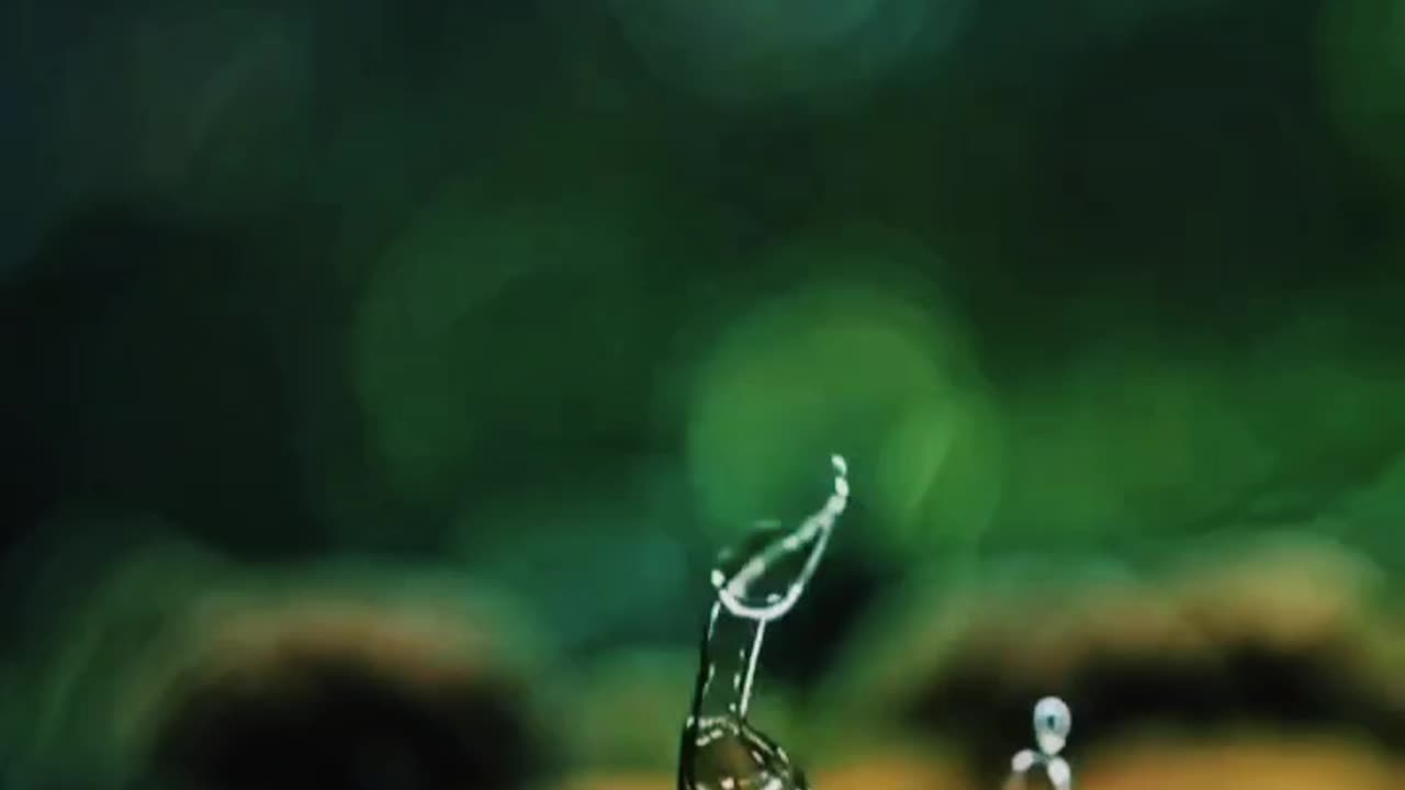 #Radhe Radhe Jay Shri Krishna 🙏 💐