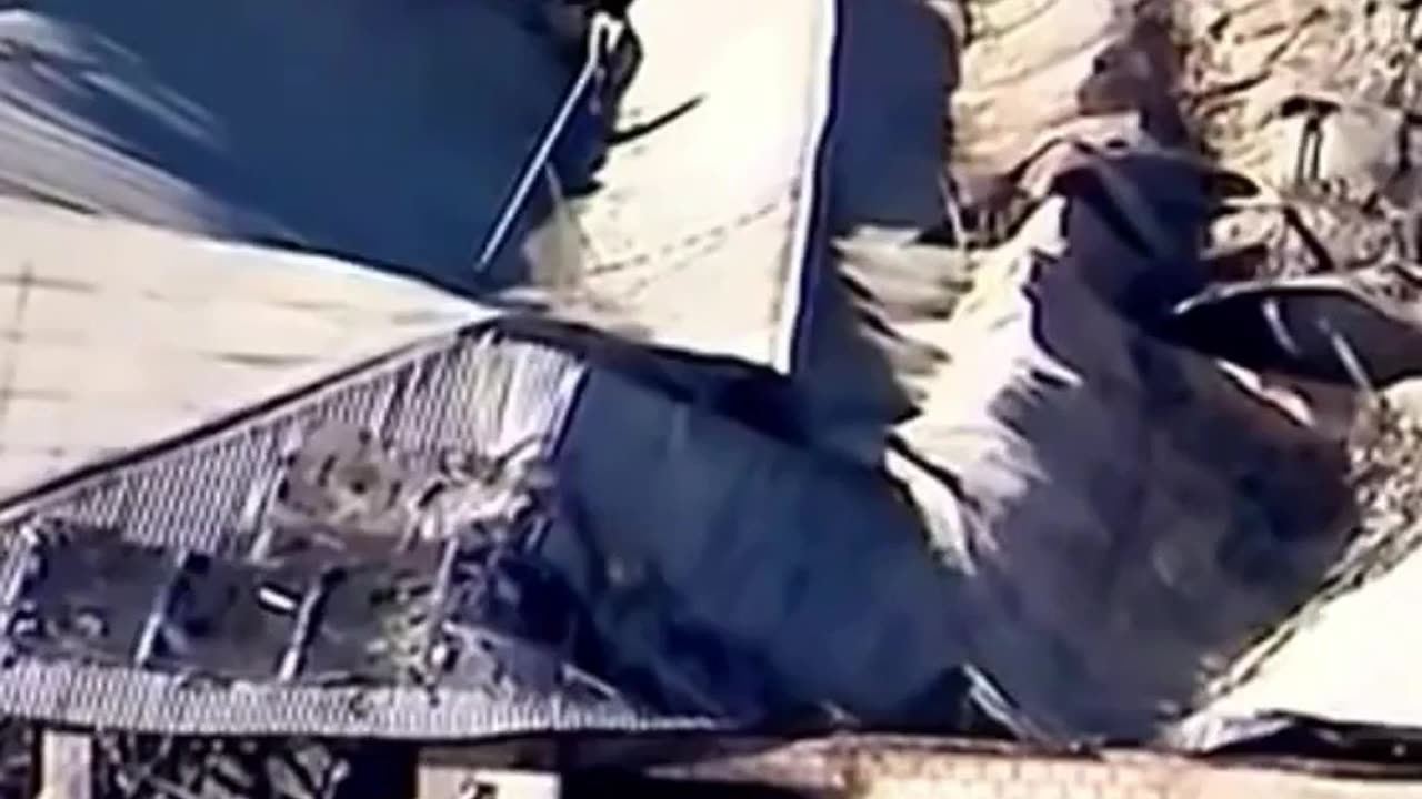 ELLOUISA BRIGHTON MURDERS HER KIDS IN AN ARSON FIRE