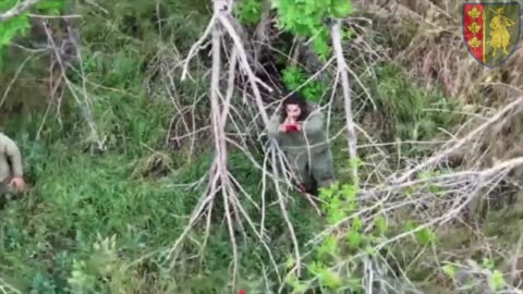 Pair of Mercenaries Beg Ukrainian Drone for Help