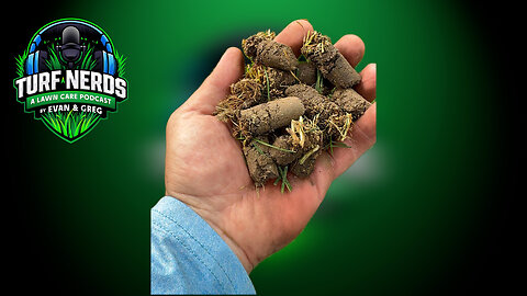 More Than Mowing: Profitable Add-Ons for Lawn & Landscape Pros