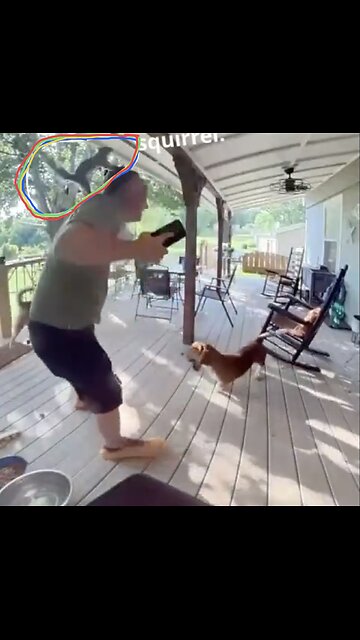 SQUIRREL ATTACK HOME OWNER🐕🏡🚶‍♂️🌳🐿️📸ON HOUSE VERANDA🏃‍♂️🏡🐿️💫