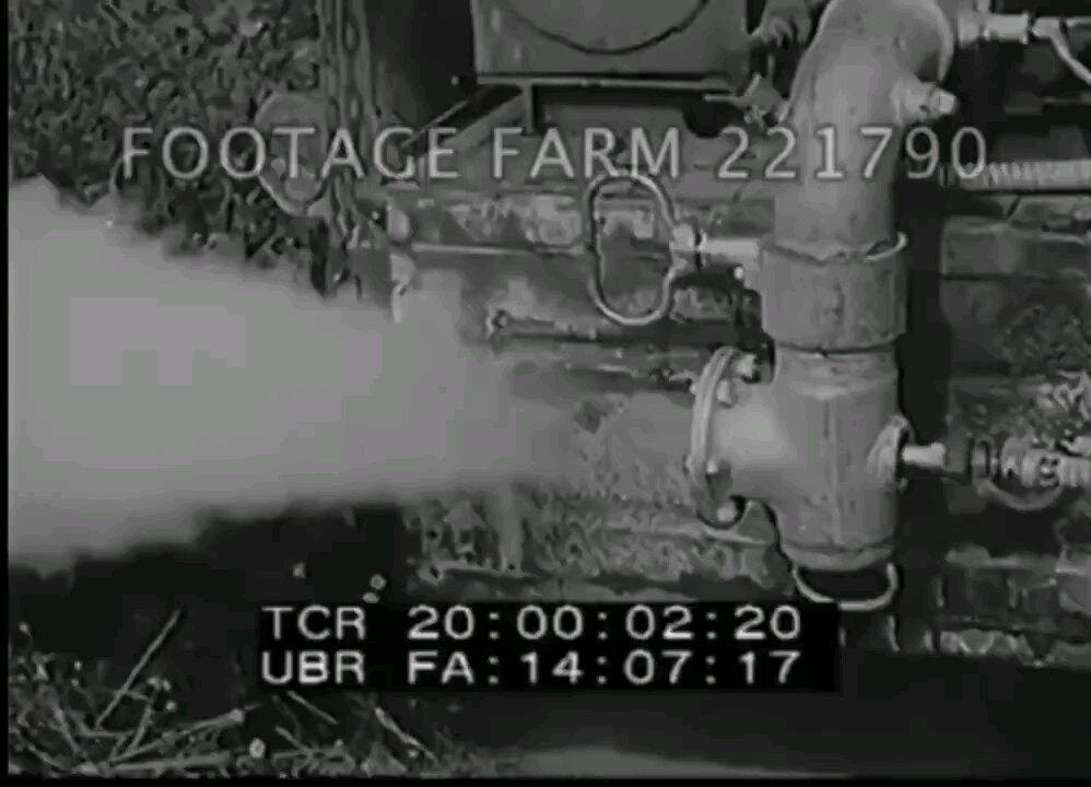 no wonder genetics are fked