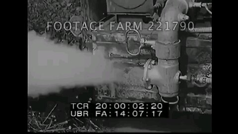 no wonder genetics are fked