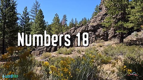 Numbers 18, Bible Reading in Nature, BSB