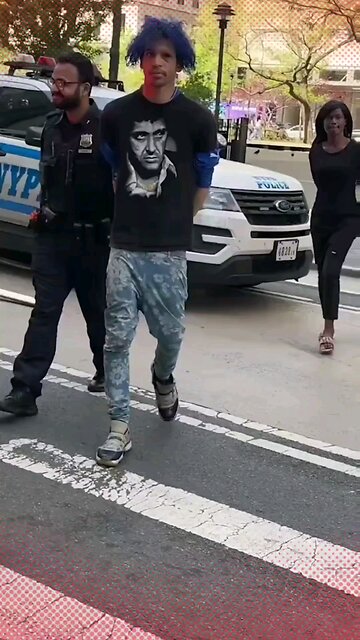 Blue-Haired Suspect Accused of Manhattan Crime Spree: Groping Women and Setting Hair Ablaze.