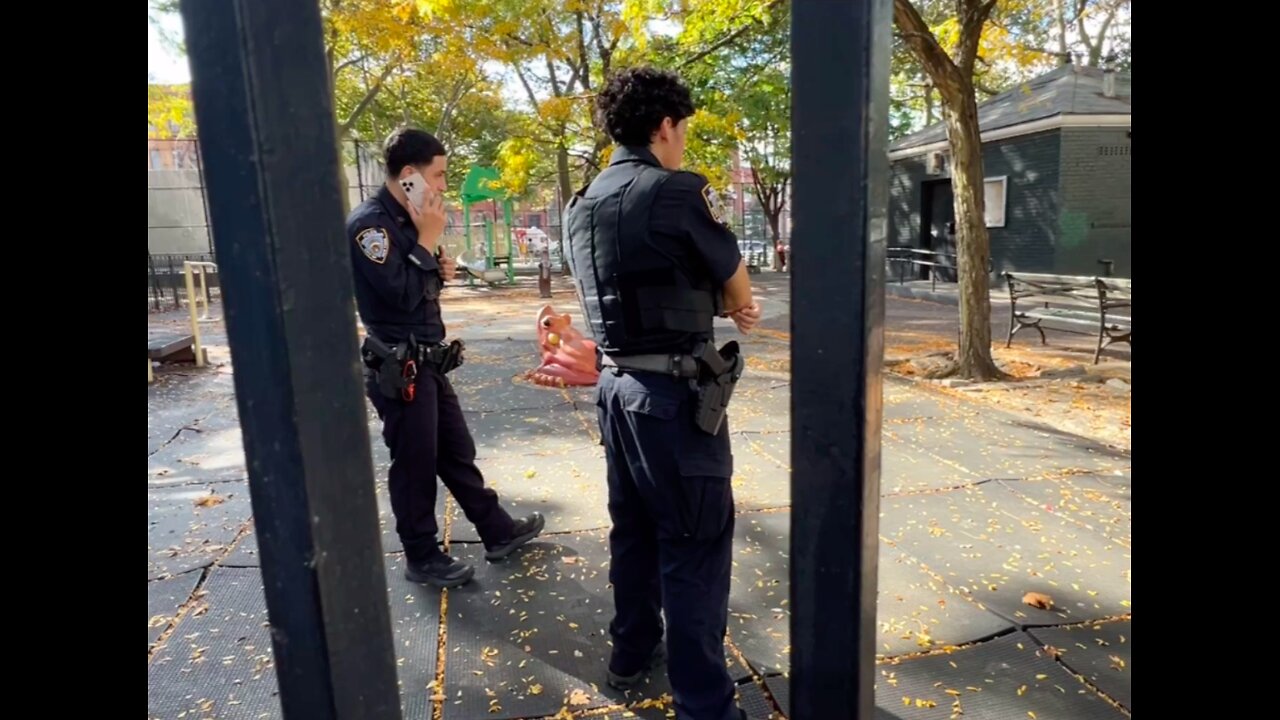 Would you be able to live in New York City and have your children play in those public park?