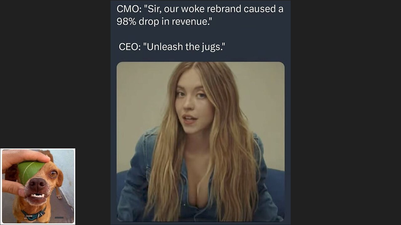Memes That Will 99.0292% Make You Laugh. (e516)