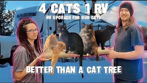 RV DIY upgrade for the CATS! BETTER than a CAT TREE, RV Life | Full-Time RV Living