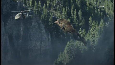 Giant Wolf