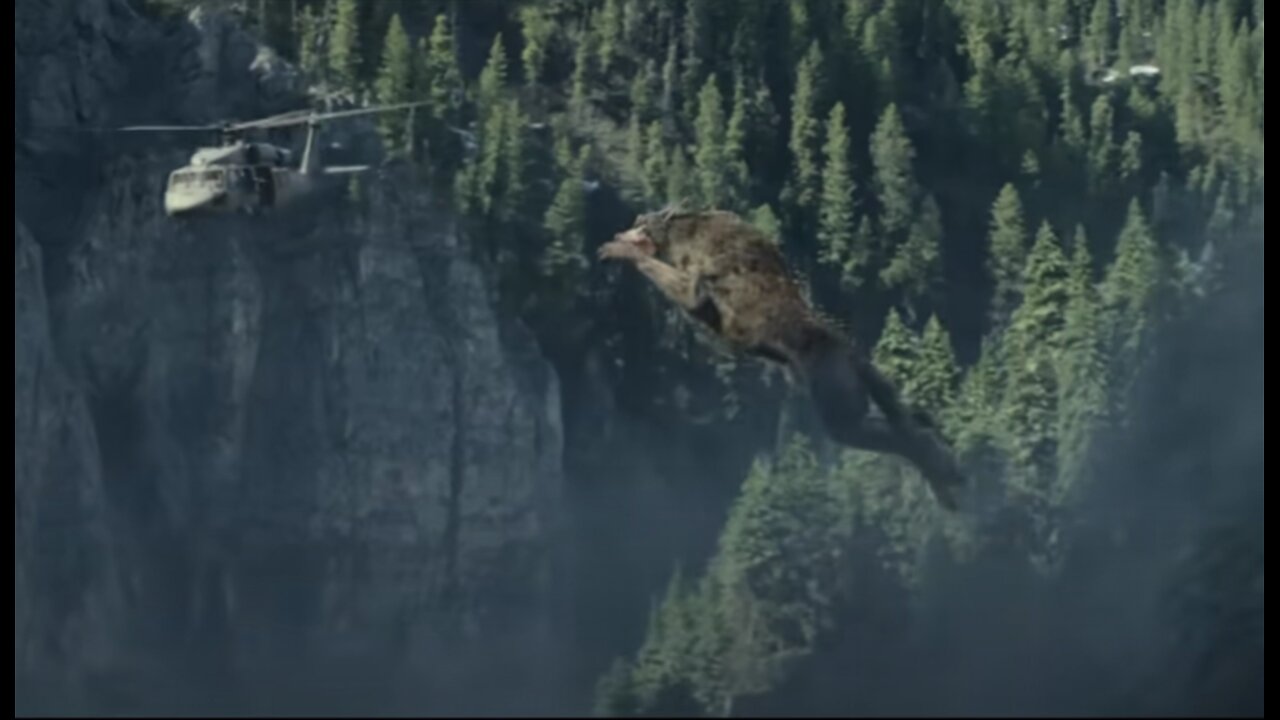 Giant Wolf