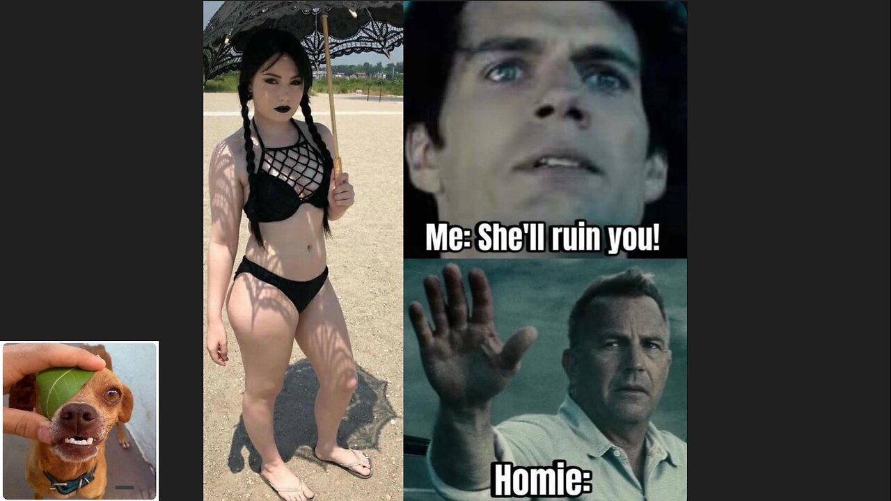 Memes That Will 99.0279% Make You Laugh. (e503)