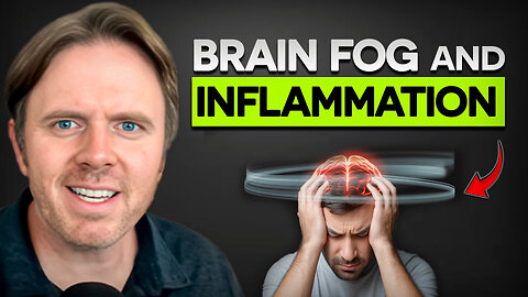 Stop Brain Fog How Inflammation Hurts Your Memory