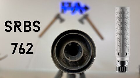 If I Could Only Have One (Rifle) Can: B&T SRBS 762 Review