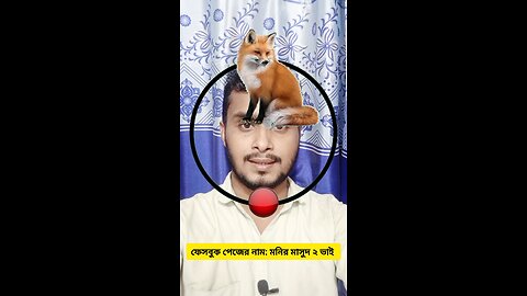 শিয়ালের মাথাটি জোড়া লাগান ৮৯ 🧩✅ #reels #puzzle #viralreelsシ #tending #foryou